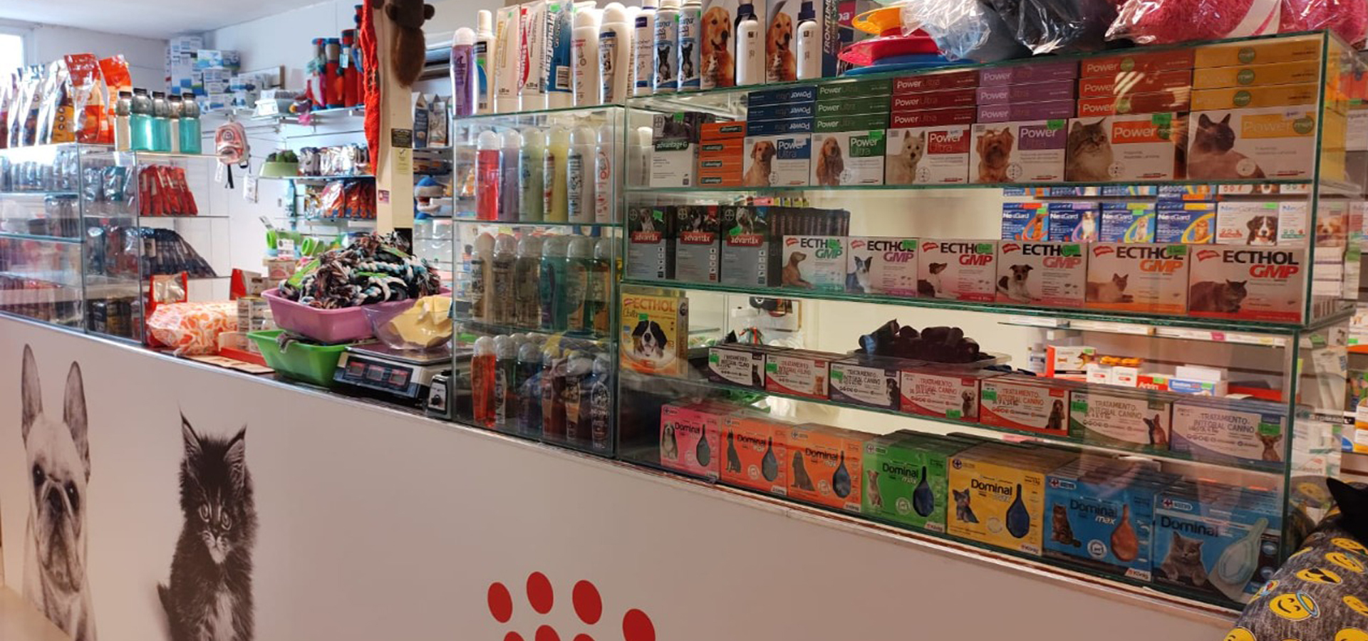 100Mascotas - Tu veterinaria de confianza.